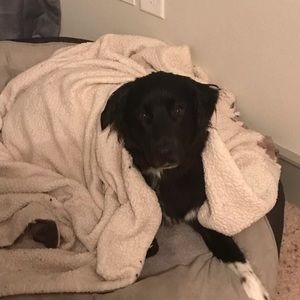 Meet your Posher, Brandon